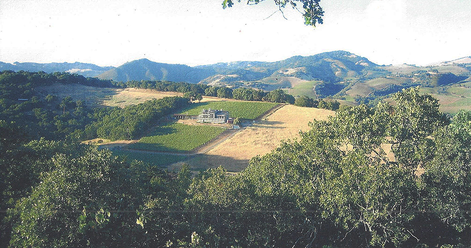 McGraw Vineyard