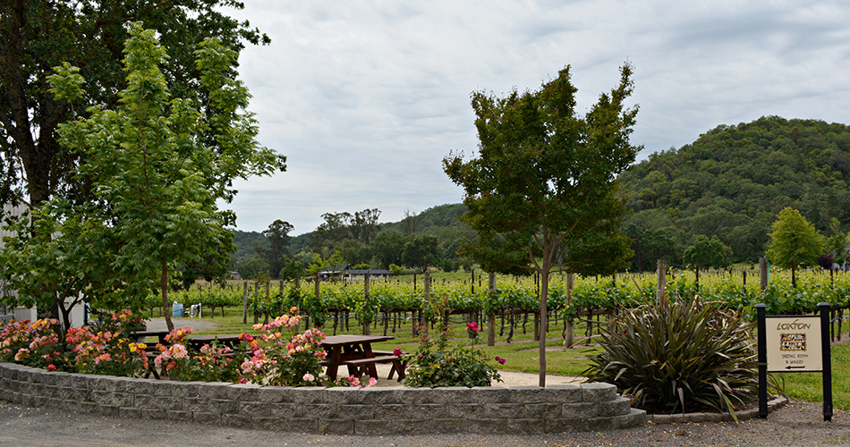 Loxton Cellars vineyard out exterior seating area